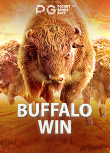 สนุกไม่หยุด! ฝาก 50 ได้ 250joker24h กับ Joker Gaming